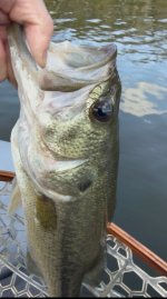 IMG_6003.jpeg