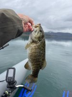IMG_4009.jpeg