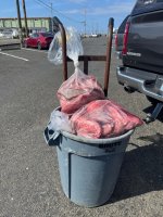 IMG_5795.jpeg
