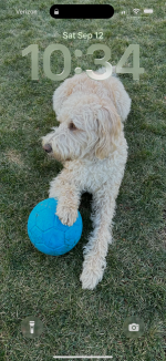 IMG_5235.png