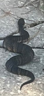 IMG_6675.jpeg