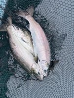 IMG_5372.jpeg