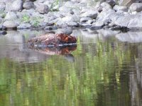 IMG_6458.JPG