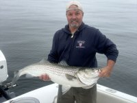 A05PhilWGiantStriper1384.jpg