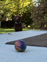 IMG_4530.jpeg
