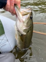 IMG_6220.jpeg