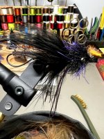IMG_8990.jpeg IMG_8990.jpeg