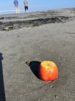 IMG_7619.jpeg