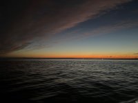 IMG_7594.jpeg