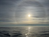 IMG_7602.jpeg