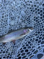 IMG_0853.jpeg
