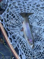 IMG_0854.jpeg