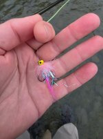 20260920_073000.jpg