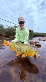 Pluma36.jpg