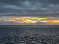 IMG_8501.jpeg