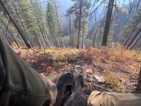 IMG_1038.jpeg