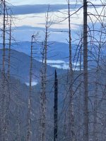 IMG_1166.jpeg