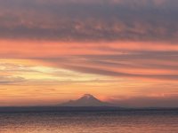 IMG_8548.jpeg