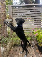 IMG_8563.jpeg