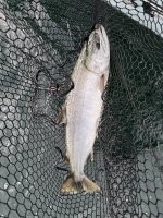 IMG_4390.jpeg