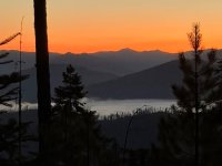 IMG_5559.jpeg