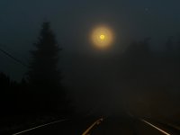 IMG_8601.jpeg
