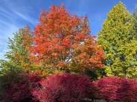 IMG_1821.jpeg