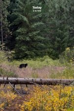 IMG_0277.jpeg