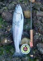 IMG_4039.jpeg