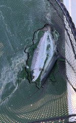 IMG_4034.jpeg