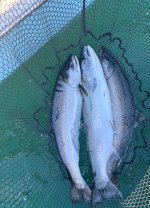 IMG_4033.jpeg