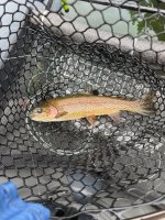 IMG_4177.jpeg