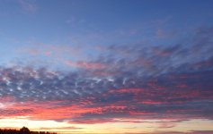 IMG_8655.jpeg