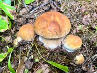 IMG_8830.jpeg