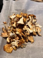 IMG_9239.jpeg