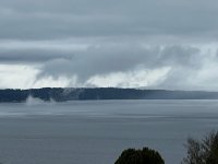 IMG_8686.jpeg