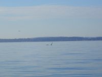 IMG_8667.jpeg