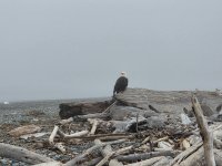 20260814_092318.jpg 20260814_092318.jpg