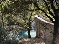 IMG_7029.jpeg