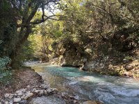 IMG_7013.jpeg