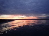 IMG_8691.jpeg