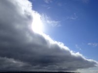 IMG_8695.jpeg
