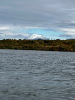 IMG_9136.jpeg