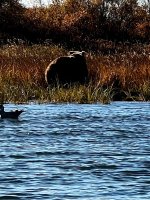 IMG_9150.jpeg