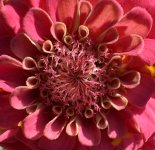 IMG_4560.jpeg