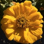 IMG_4565.jpeg