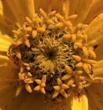 IMG_4565.jpeg