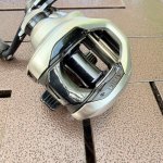IMG_0111.jpeg