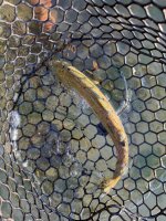 IMG_2941.jpeg