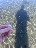 IMG_6875.jpeg